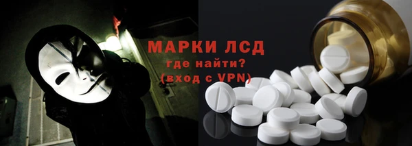 винт Ельня