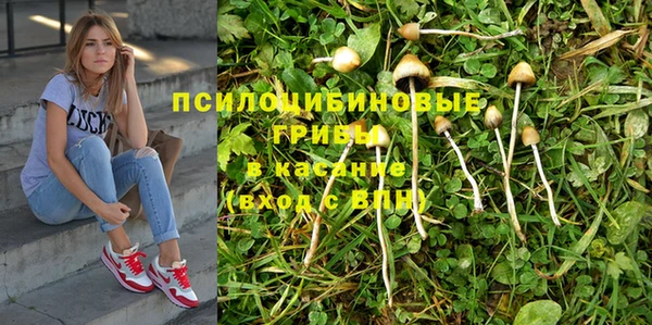 скорость Заволжье