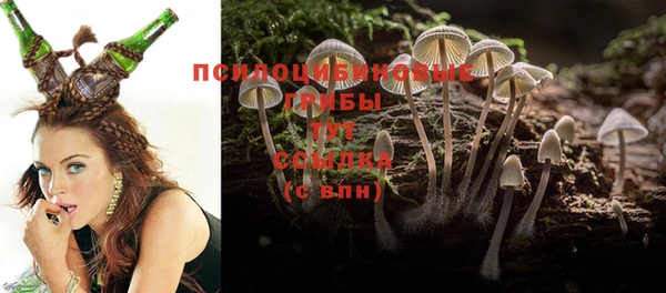 прущий лед Елизово